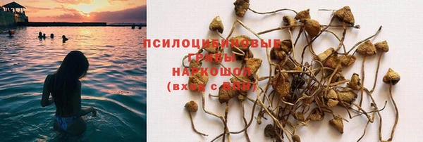 МДМА Куйбышев