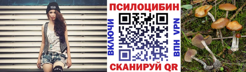 Псилоцибиновые грибы мухоморы  продажа наркотиков  Новая Усмань 